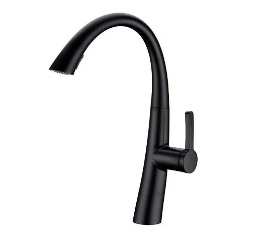 Torneira Monocomando Para Cozinha Preto Fosco Com Extensor